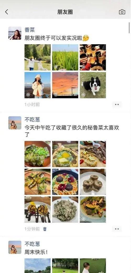 网红吃瓜微信文案图片,揭秘娱乐圈最新瓜皮事件！