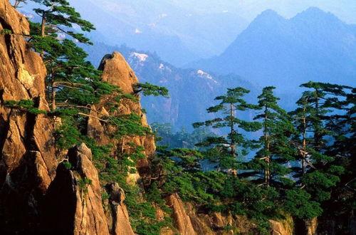 黄山吃瓜大赛官网直播,云端盛宴，直播带你领略瓜界狂欢