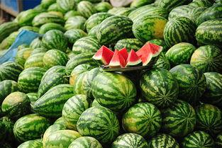 什么社的网红吃瓜网站,热门事件背后的真相与笑料