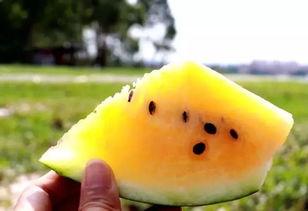 网爆热点吃瓜,揭秘吃瓜群众的狂欢盛宴