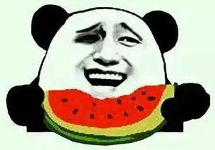 吃瓜后被网暴,揭秘网络暴力背后的真相