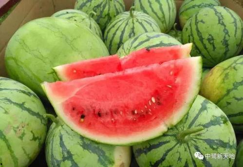 九一吃瓜今日吃瓜网,今日热点事件大盘点