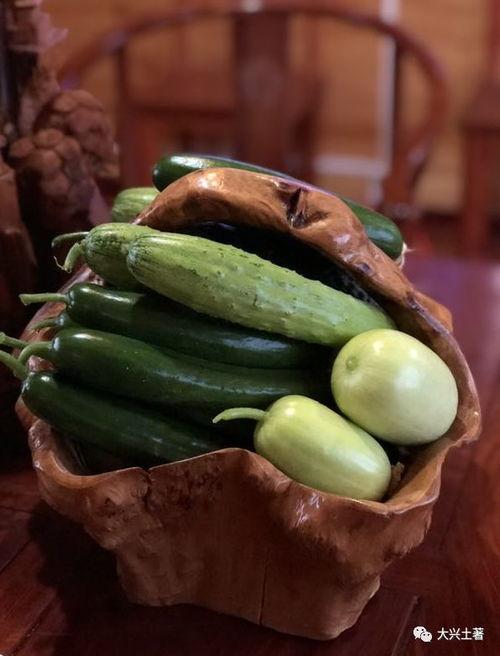 莒县网红吃瓜,揭秘当地美食文化新风尚