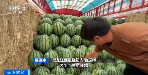 17cg官网吃瓜入口最新消息,吃瓜入口，揭秘娱乐圈幕后风云