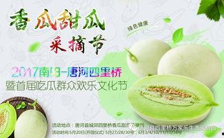 网红吃瓜大集合视频大全,揭秘热门视频背后的精彩瞬间