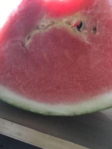 吃瓜网是什么东西