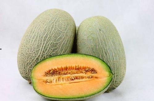 新疆网红吃哈密瓜,哈密瓜美味引全民热议