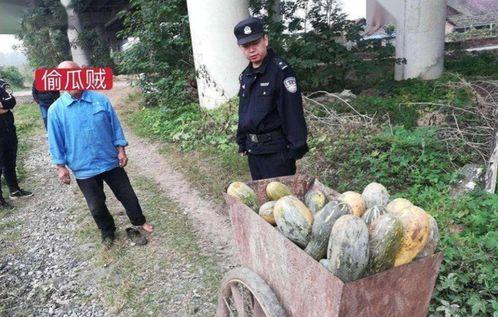 延安网红吃瓜事件真相揭秘,揭秘背后真相与争议