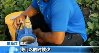 平邑吃瓜网,揭秘平邑美食背后的故事与风情