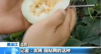 平邑吃瓜网,揭秘平邑美食背后的故事与风情