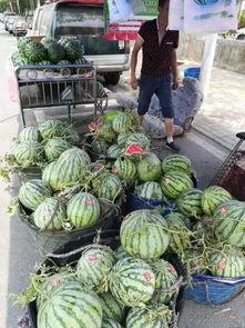 宿州吃瓜网红事件