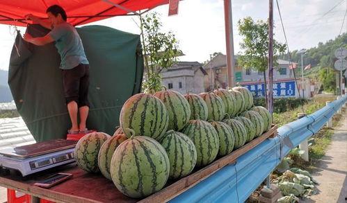 宿州吃瓜网红事件