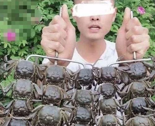 永年网红吃瓜事件,揭秘网络舆论的风云变幻