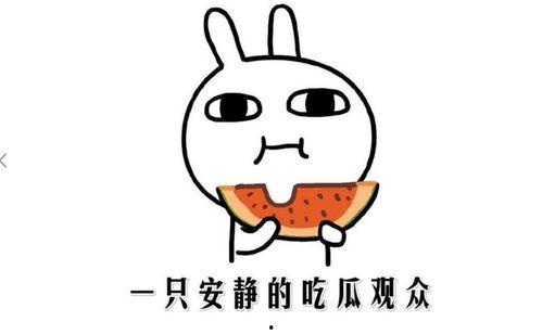 在线吃瓜抖音网红,带你领略网络世界的“瓜田”盛景