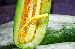 网红喜欢吃瓜,瓜田里的欢乐与争议