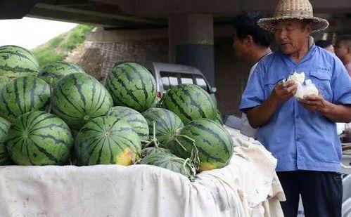 庆阳网红吃瓜事件真相,揭秘背后真相与反思