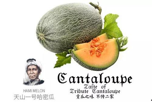 七夕吃瓜网红是谁啊图片