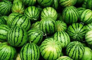 网暴吃瓜群,一场无形的心理战争