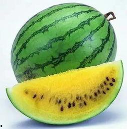 吃瓜网最全最新,揭秘娱乐圈最新热点，最全资讯一网打尽！