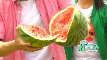 静海吃瓜的网红都有谁啊,揭秘静海吃瓜界的风云人物