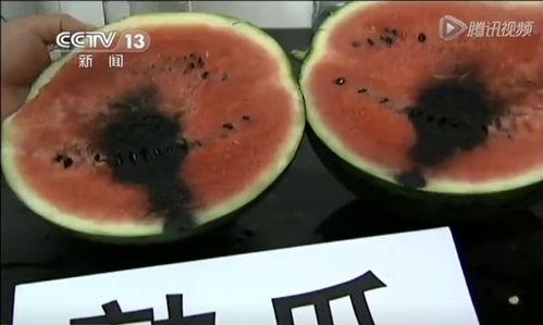 怒江网红的吃瓜视频,揭秘网络热点背后的真相