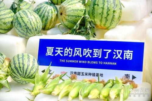 火爆吃瓜网,揭秘娱乐圈最新热点，带你领略明星幕后故事