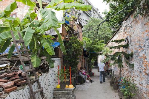 打卡网红吃瓜地,揭秘网红美食背后的故事