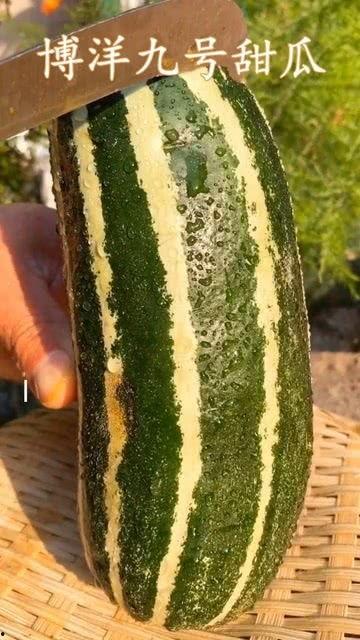 吃瓜网没有了吗