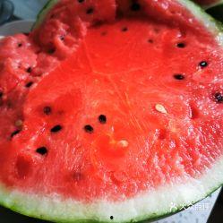 吃瓜网红照片怎么拍,如何捕捉镜头下的趣味瞬间