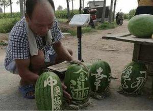 莒南网红红衣哥吃瓜,一场网络狂欢背后的真相