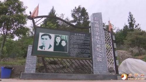 康县网红直播吃瓜事件,一场网络争议的发酵与反思