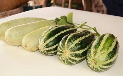 陕西吃瓜网红是谁,揭秘网络红人的幕后故事”