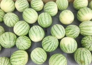 吃瓜网01,带你走进网络八卦的神秘世界