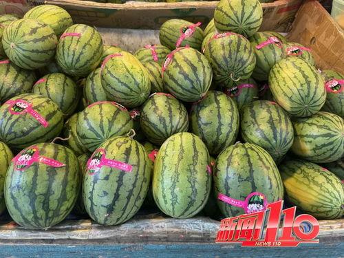 晋江网红吃瓜视频大全集,揭秘网络红人幕后故事