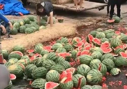 陇南网红吃瓜满床跑,揭秘网络红人的日常生活