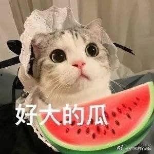 榆次网红阿呆岳旺吃瓜,吃瓜群众的美食之旅