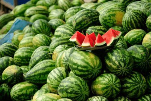 吃瓜所有网红都是谁,盘点那些吃瓜群众的“瓜王”们