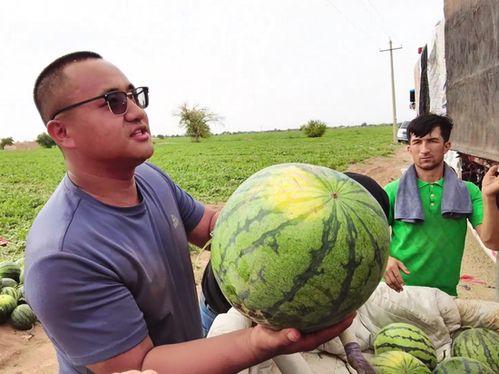 网红吃瓜博雅图片高清
