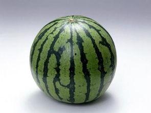 减肥可以吃网瓜吗会胖吗,减肥期间的理想食品，不会导致发胖？