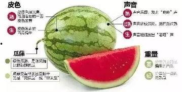 固始网红吃瓜群微信