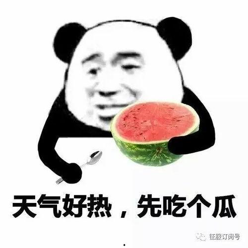 沙雕富婆在恋综吃瓜网盘