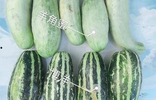 网红事件吃瓜入口
